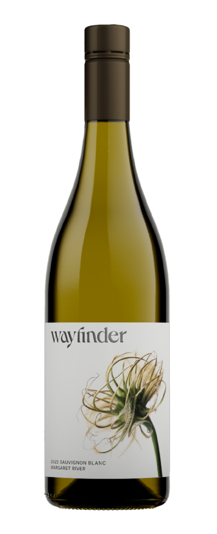 Sauvignon Blanc   2023