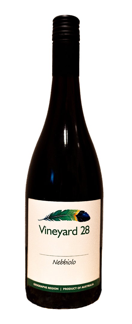 Nebbiolo