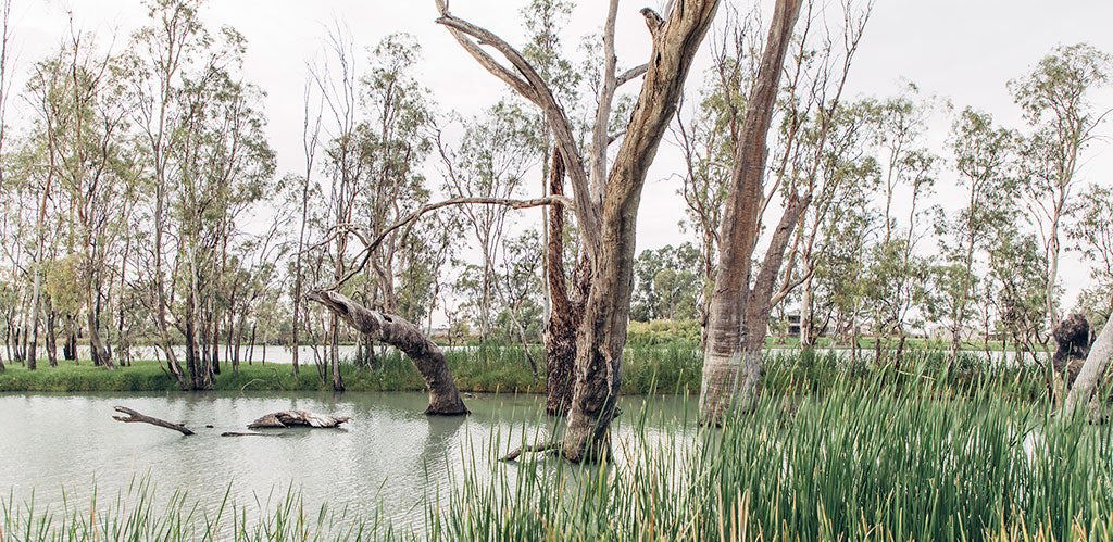Revolution in the Riverland