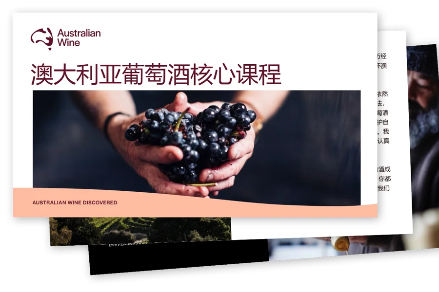 a person holding a bunch of grapes
