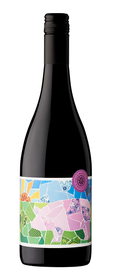 Shiraz   2021