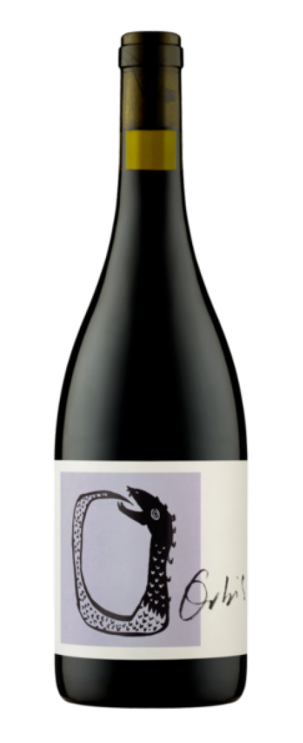 Montepulciano   2024