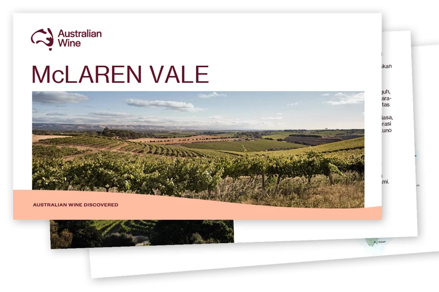 a landscape of a vineyard
