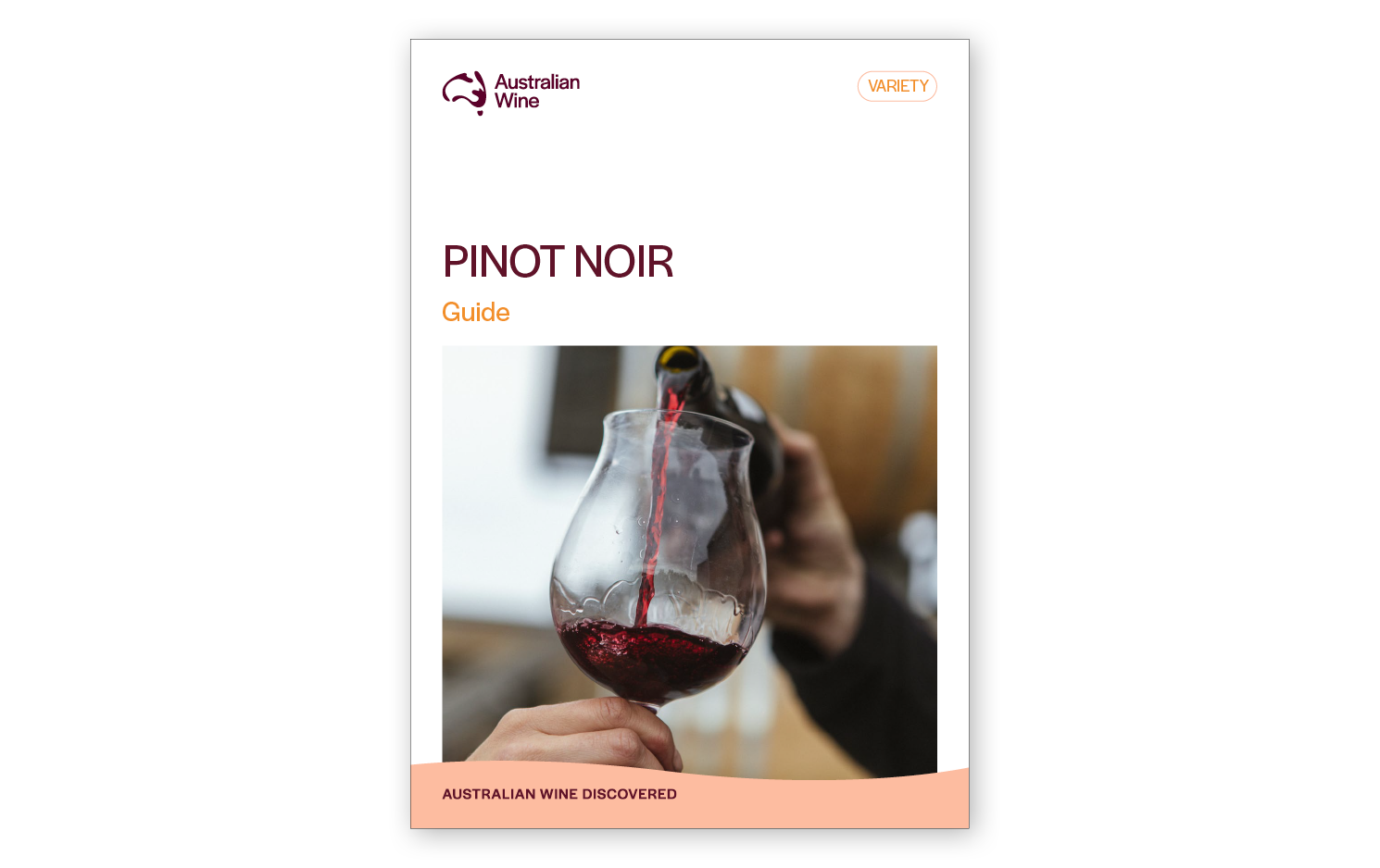 a person pouring wine into a glass