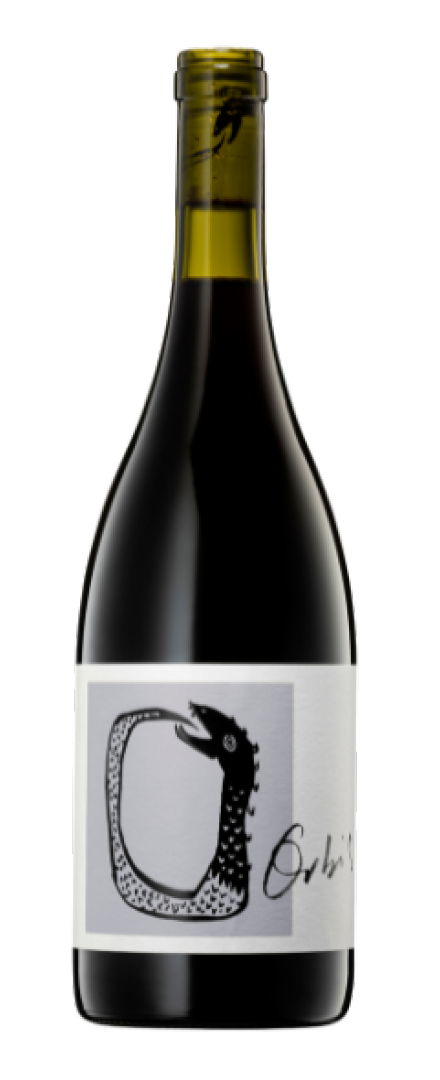 Top 6 Shiraz   2025