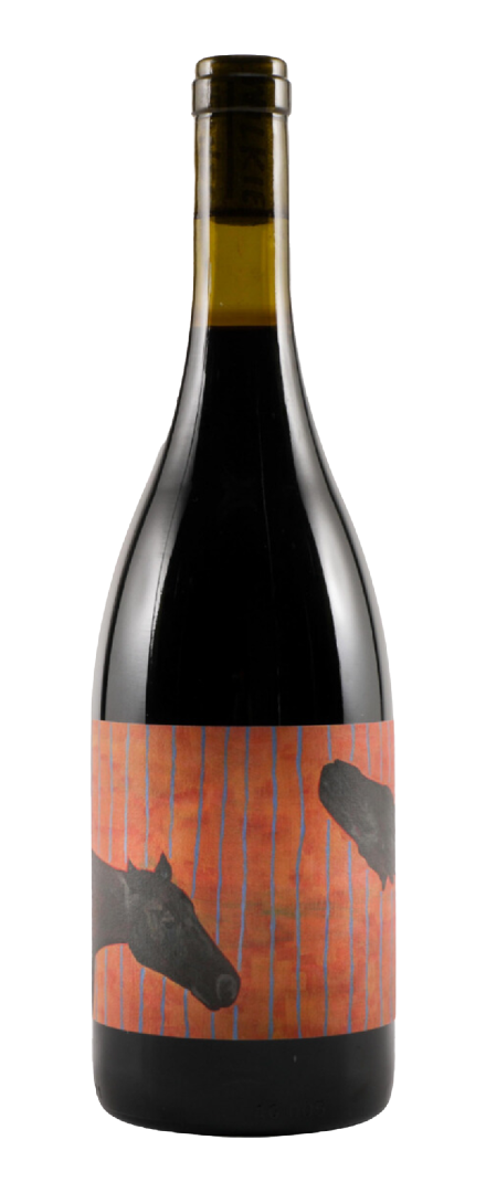 Midnight Dilemma Shiraz   2022