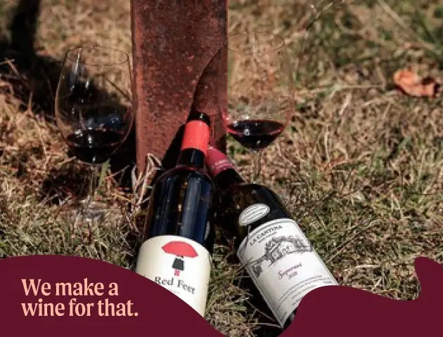 a group of wine bottles and glasses on the ground