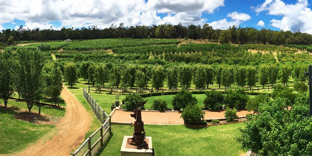 Perth Hills 