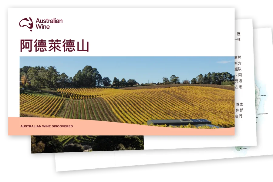 a field of yellow plants