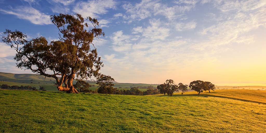 Southern Flinders Ranges