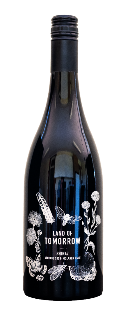 Shiraz   2023