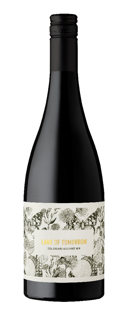 Pinot Noir   2024