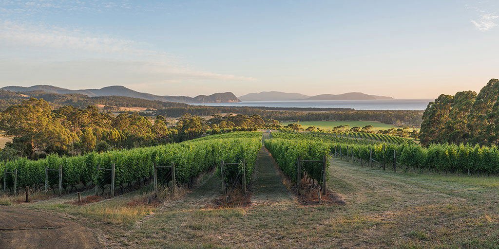 Tasmania: How a tiny island became a wine giant