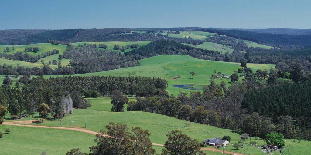 Blackwood Valley