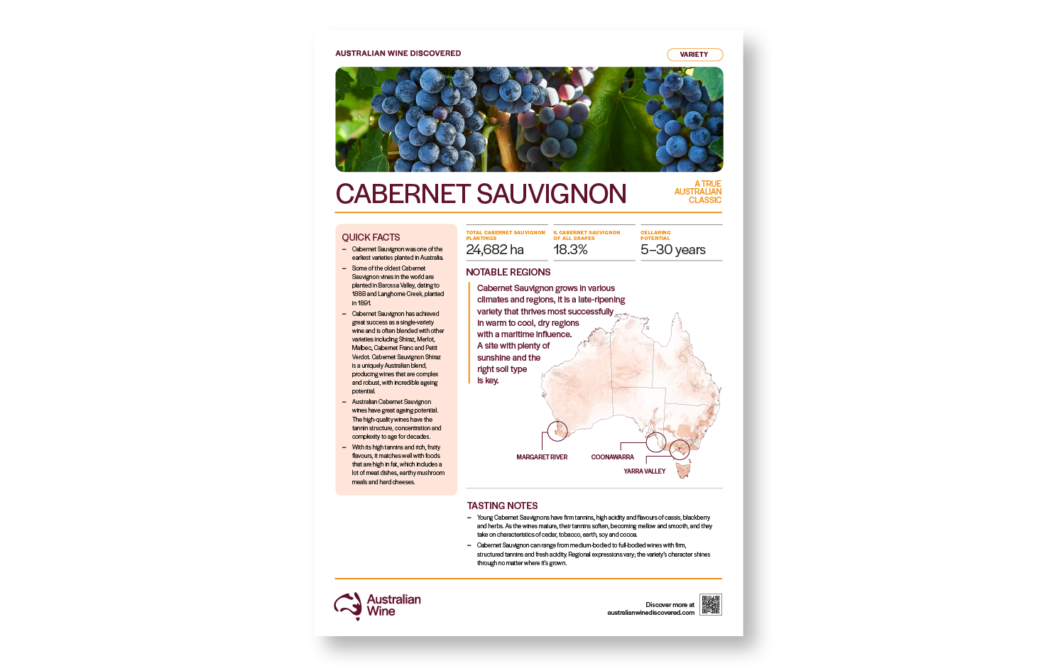 a close-up of a wine information