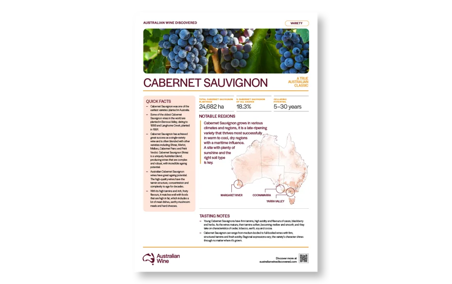 a close-up of a wine information