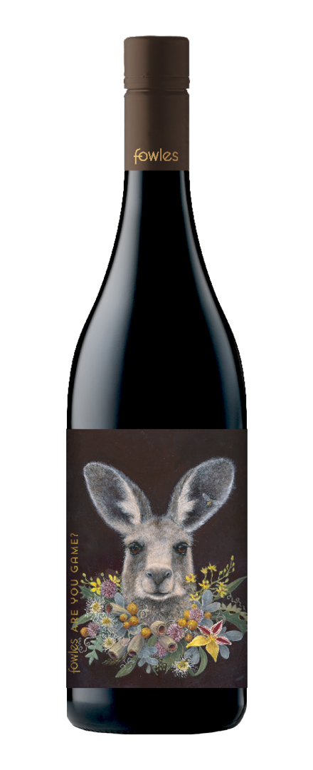 Are You Game? Shiraz   2019