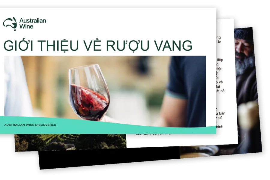 a person holding a glass of wine