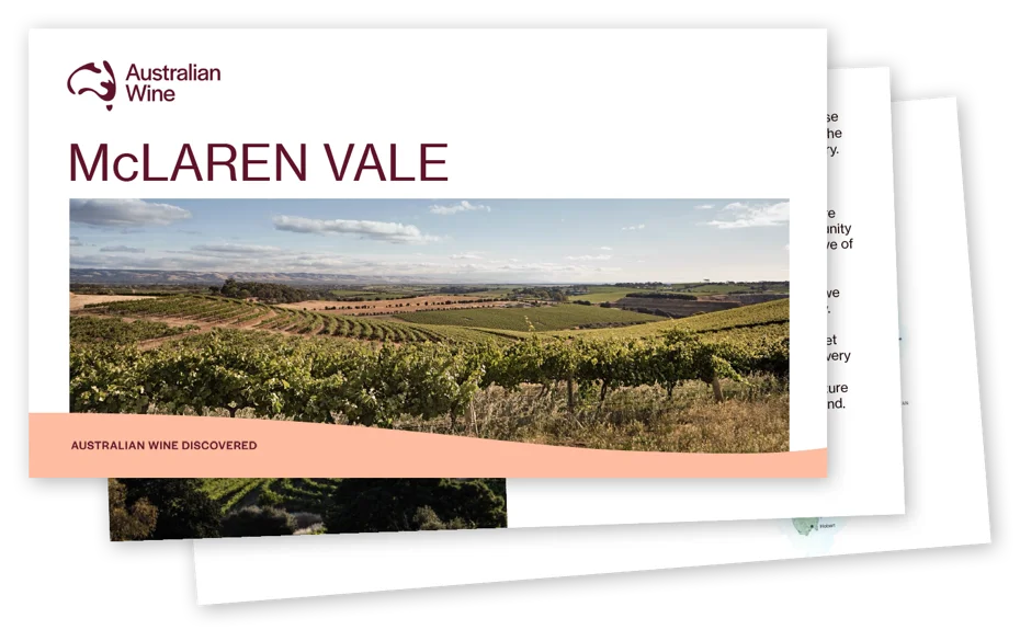a landscape with a vineyard
