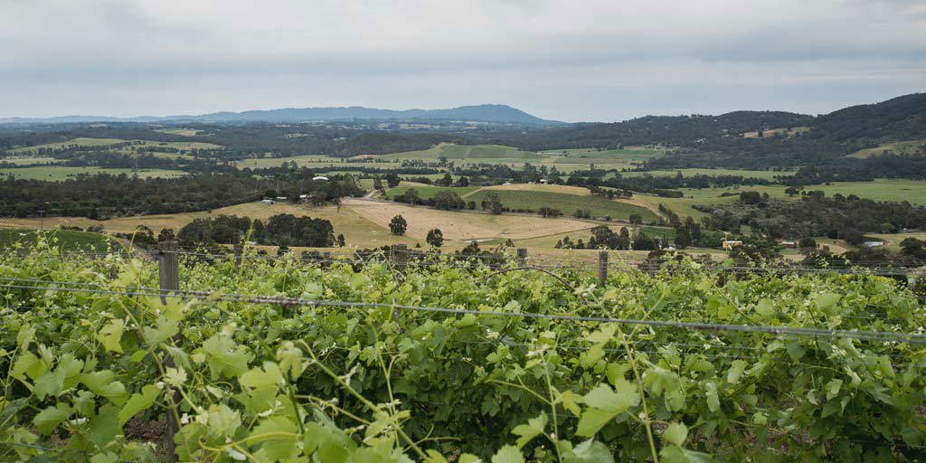Canberra District