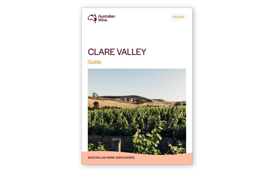 a book cover with a vineyard
