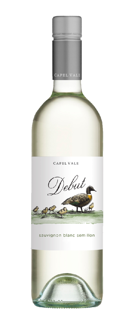 Debut Sauvignon Blanc Semillon  2020