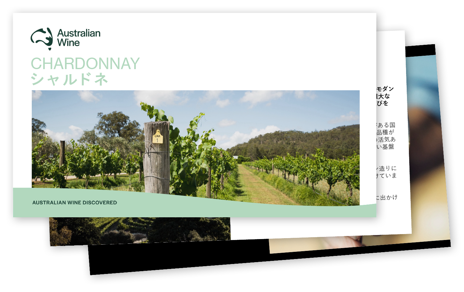 a screenshot of a vineyard