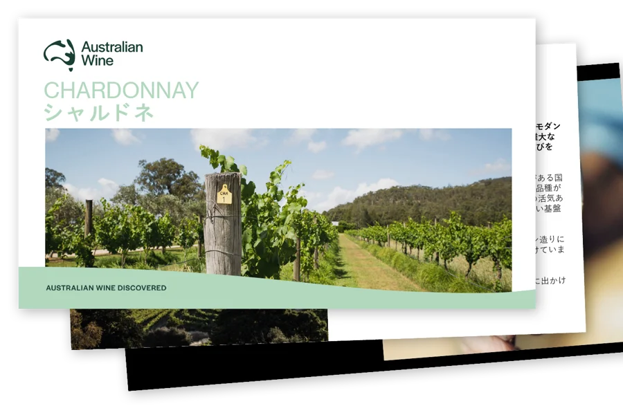 a screenshot of a vineyard