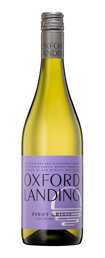 Pinot Grigio   2020